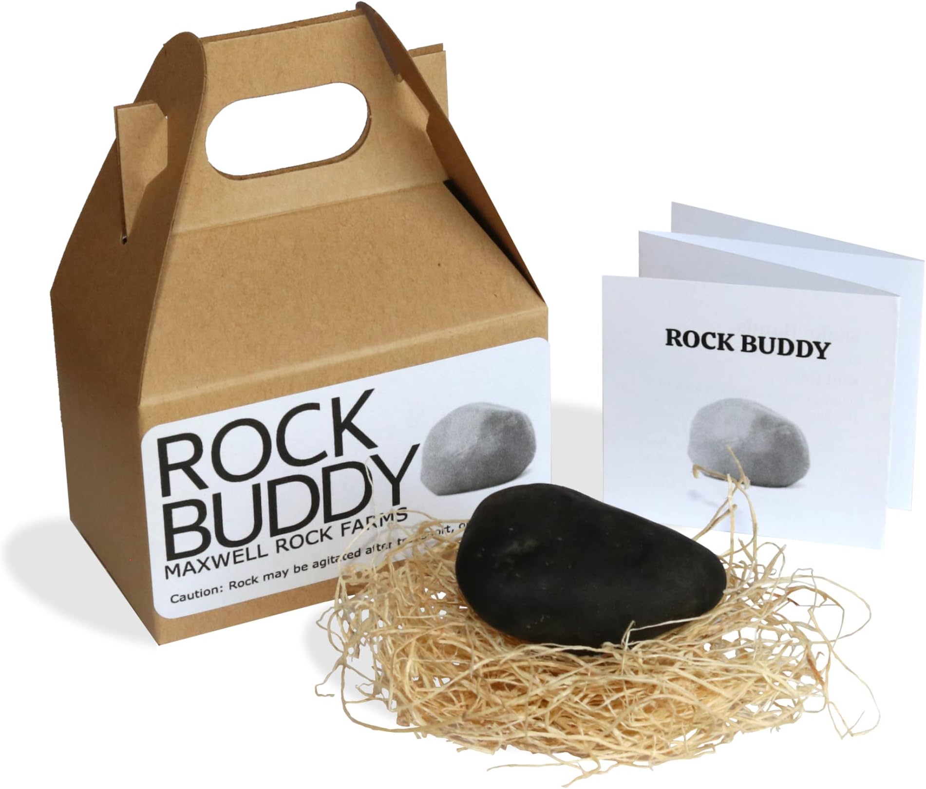 Rock Buddy with Full Training Manual and Bedding
