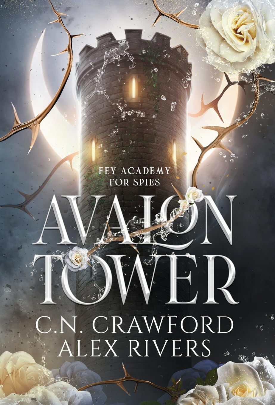 Avalon Tower (Fey Spy Academy): Crawford, C N: 9781956290196: Amazon ...