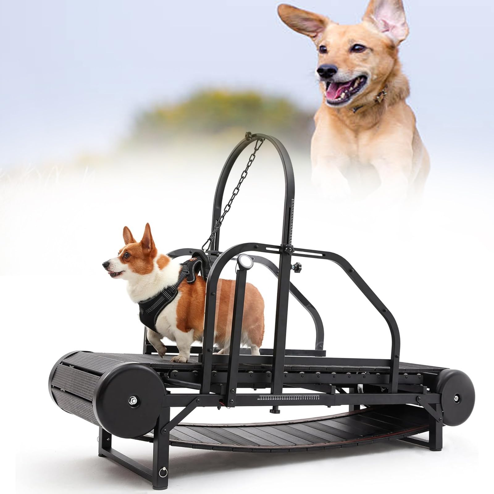 Cinta de Correr para Perros medianos, máquina de Correr para Perros, Equipo de Ejercicio para Perros Grandes, para Interiores y hogares