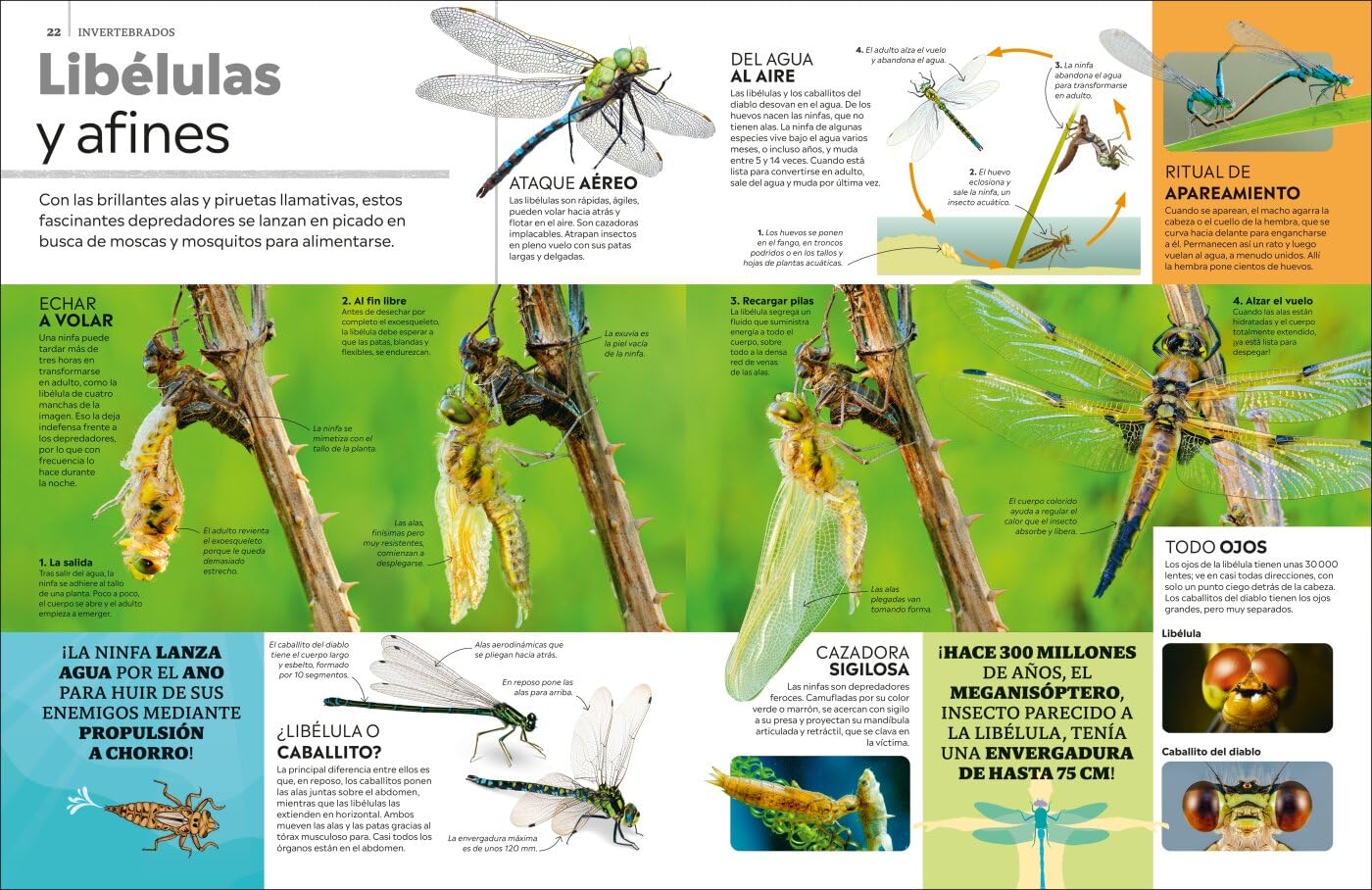 La superenciclopedia de los animales: Invertebrados | Peces | Anfibios | Reptiles | Mamíferos (Enciclopedia visual juvenil)