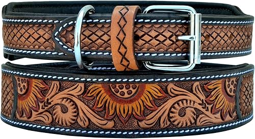 Miniatura 3 de Affilare Collar de cuero para perro, estilo occidental, resistente, acolchado, para cachorros y perros grandes, 10AB122-XS