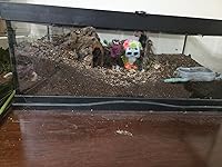 Review Image by Susan Burns Susan Burns