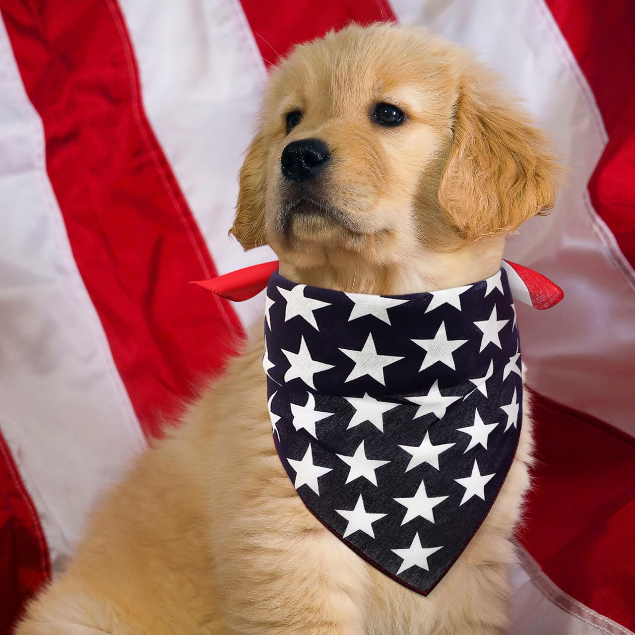 ValicLUD Bandana Triangulaire pour Chien Motif Drapeau américain