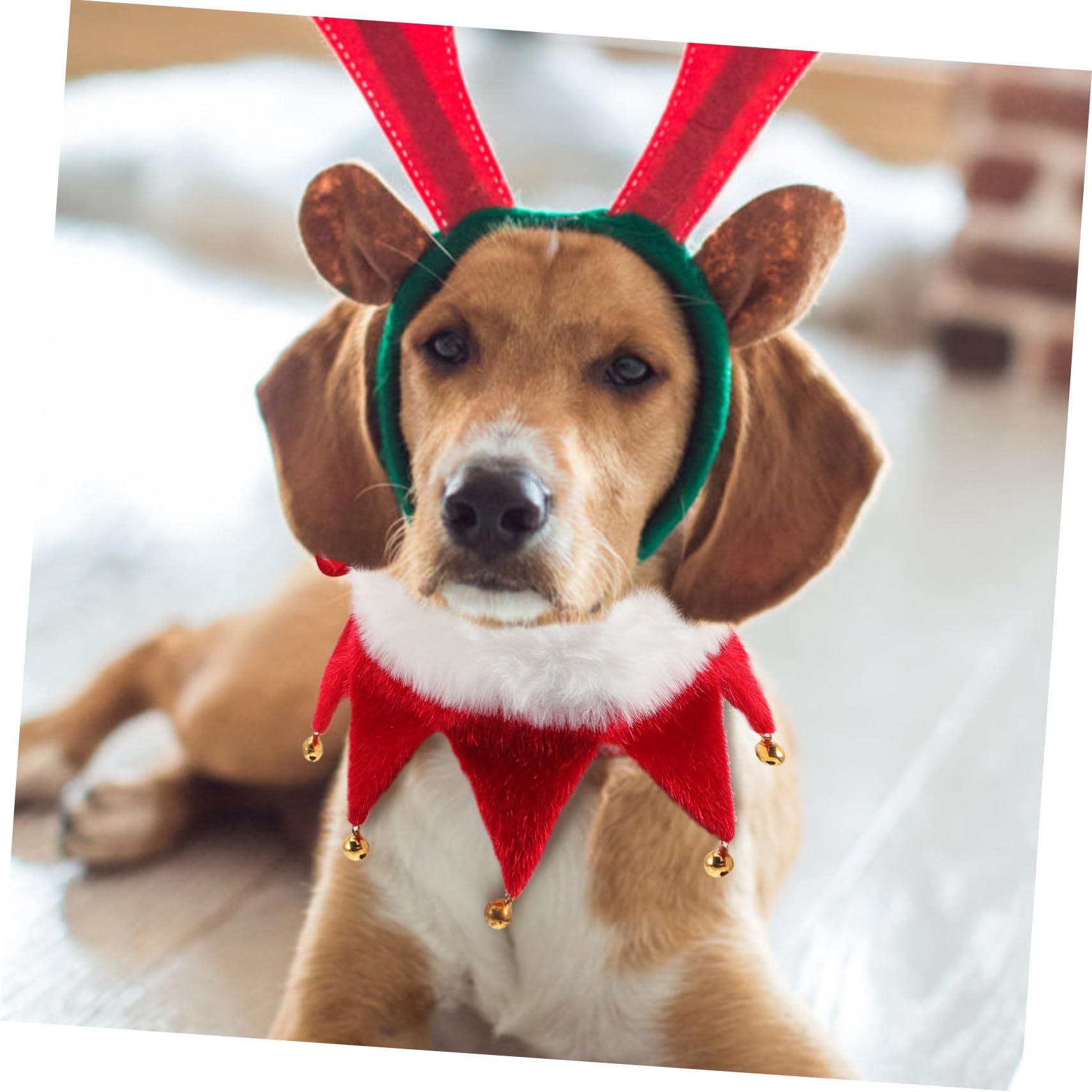 Collier de Noël pour Chien avec Clochette Accessoire Léger et Facile à Enfiler Collier Classique pour Chiot et Chat
