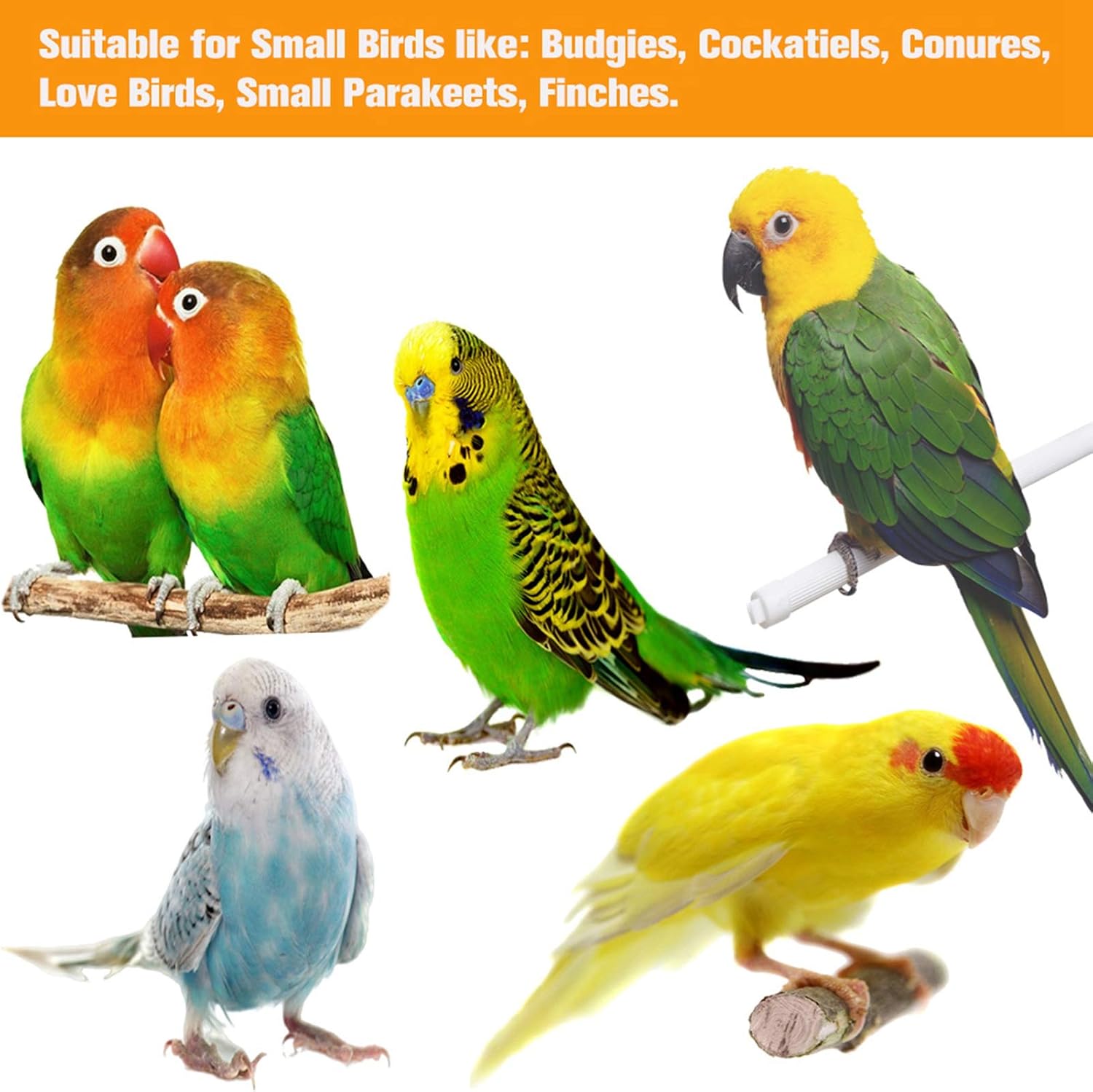 Inscape Data 8 Pack Bird Parrot Toys, Bird Swing Chewing Toys Perch Stand Hanging Bell Mirror Climbing Ladders?Bird Cage Toys for Small Parakeets, Cockatiels, Budgies, Conures, Love Birds, Finches
