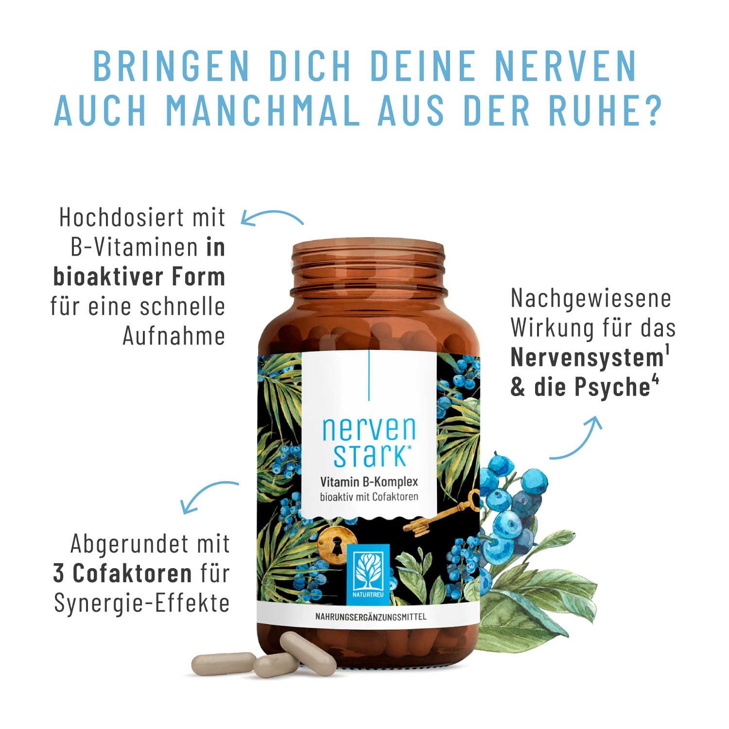 Vitamin B Komplex (B1-B12) mit 3 Kofaktoren aktiv - Alle 8- B Vitamine - B Vitamin Komplex hochdosiert mit Cofaktoren - Nervenstark *