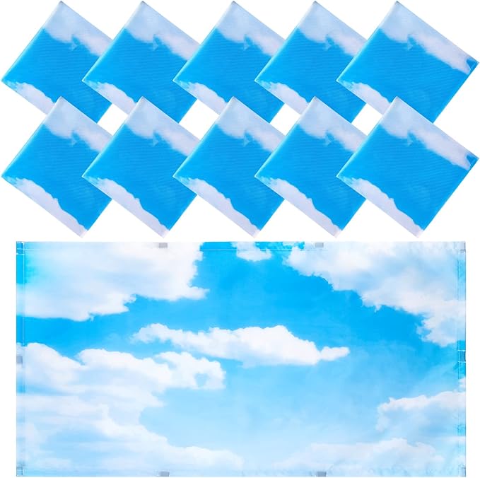 10 Pack Fluorescent Light Covers 2 x 4 ft Light Cover Ceiling