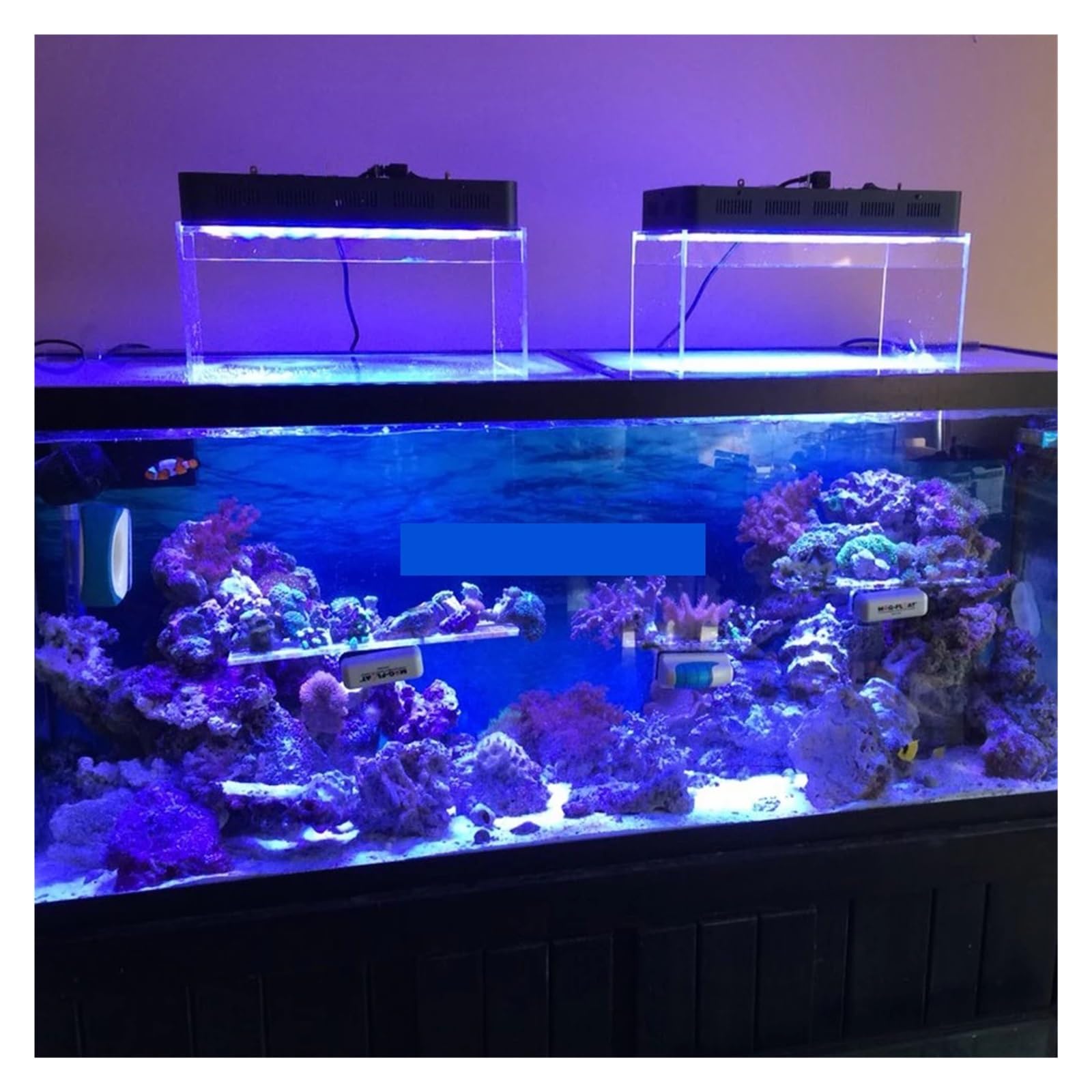 Amazon.co.jp: シンクランプ 制御 165 ワット調光可能な LED 水族館