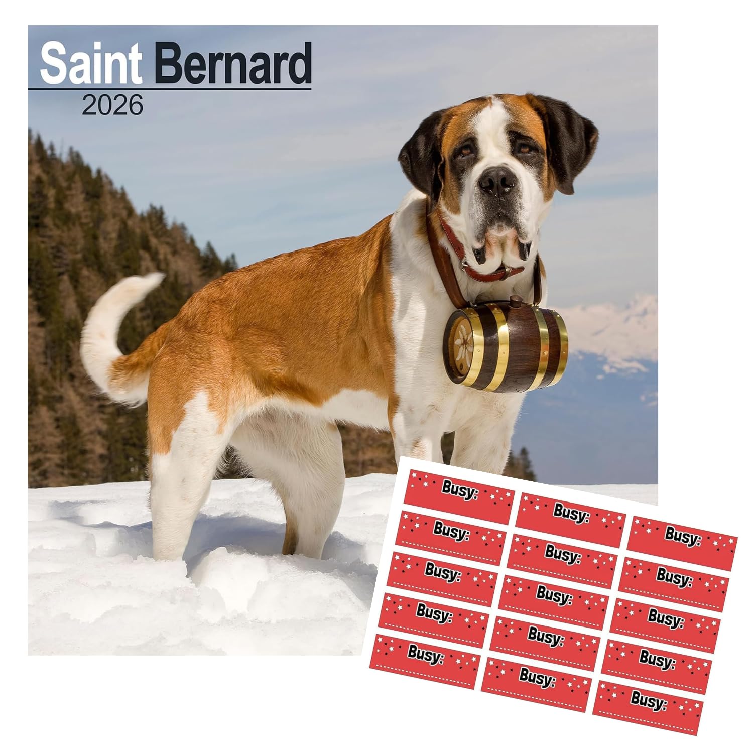 Avonside Saint Bernard 2027 Square Calendar with Organisational Stickers