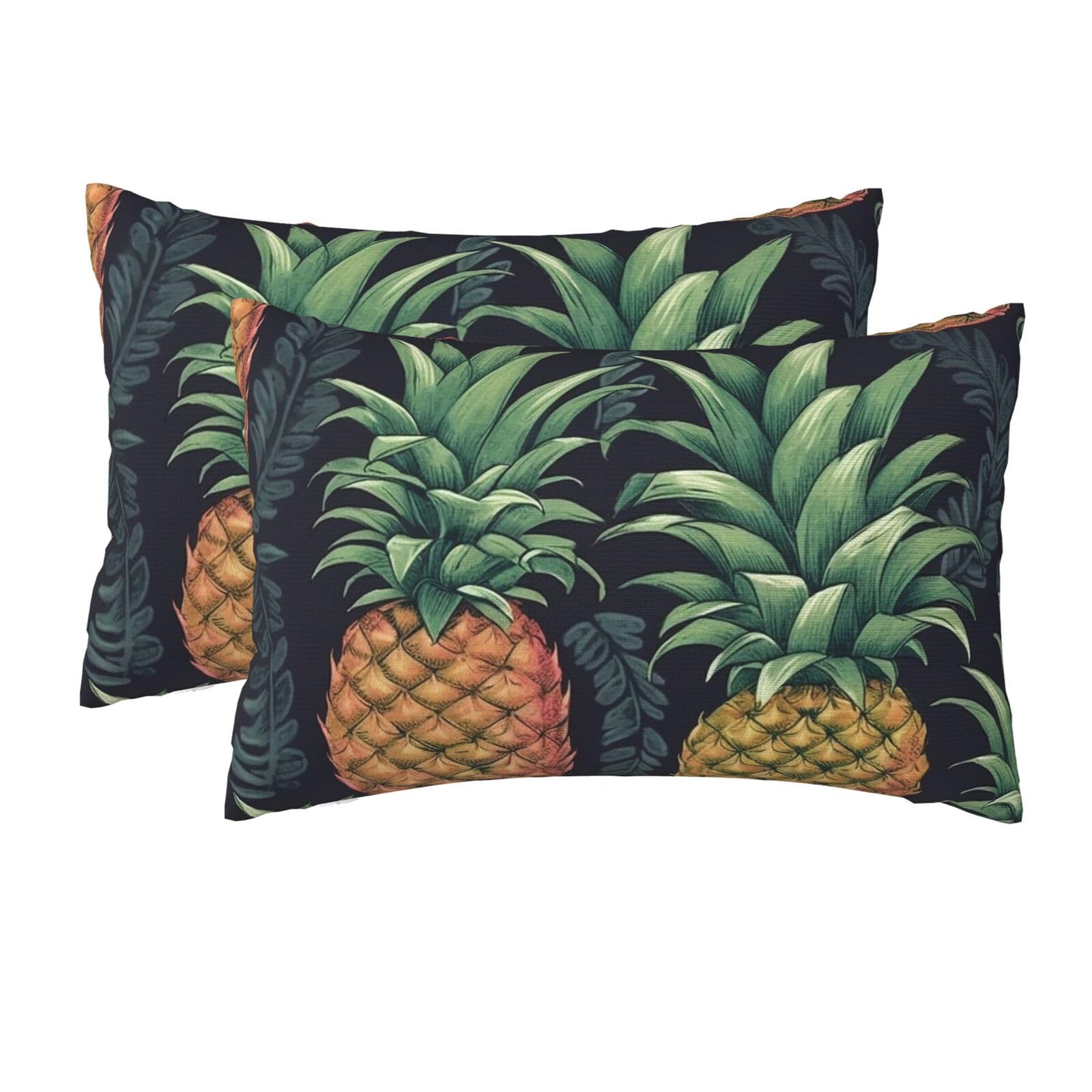 2 Pack Queen Size Pillow Cases for Hair and Skin Soft Breathable Pillow Case Covers with Hidden Zipper Pineapple Pillowcase 20x30 Inches Pillow Cover for Sleeping Gift