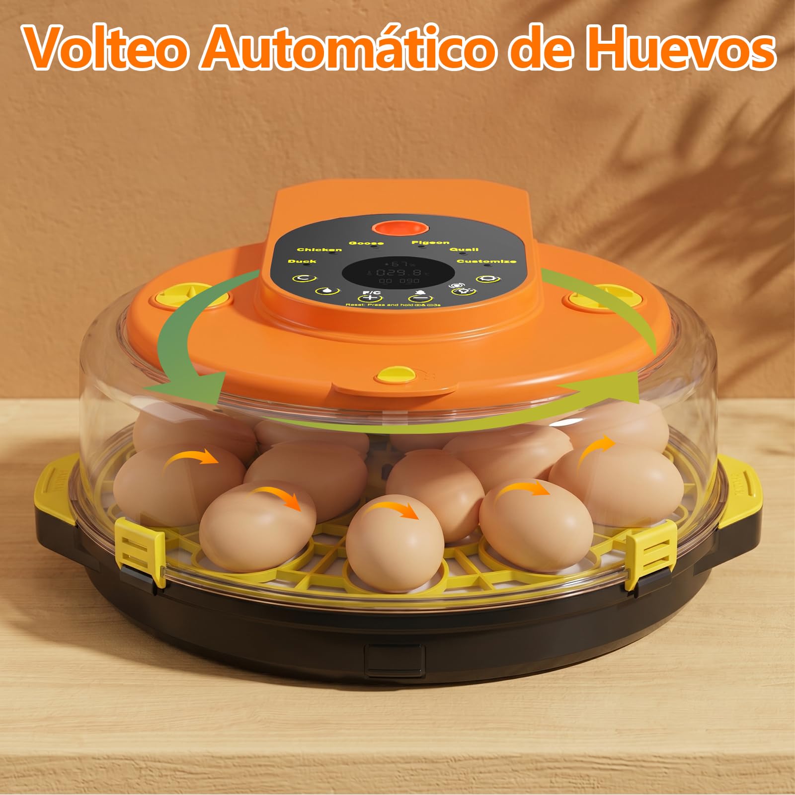 Incubadora Huevos Gallina, Diealles Shine Incubadoras de Huevos Automaticas de 15 Huevos con Volteo Automático de Huevos y Humidificación Automática, Incubadoras con Indicador de Humedad y Temperatura