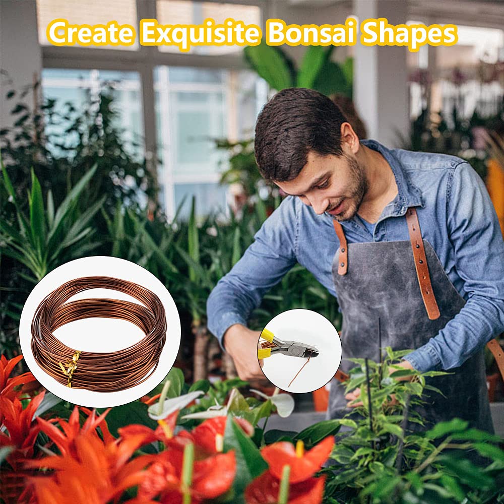 Filo Per Bonsai In Alluminio Anodizzato - Set 5 Rotelli Da 1,0mm A 3,0mm | Per Modellare Piante - Foto 7