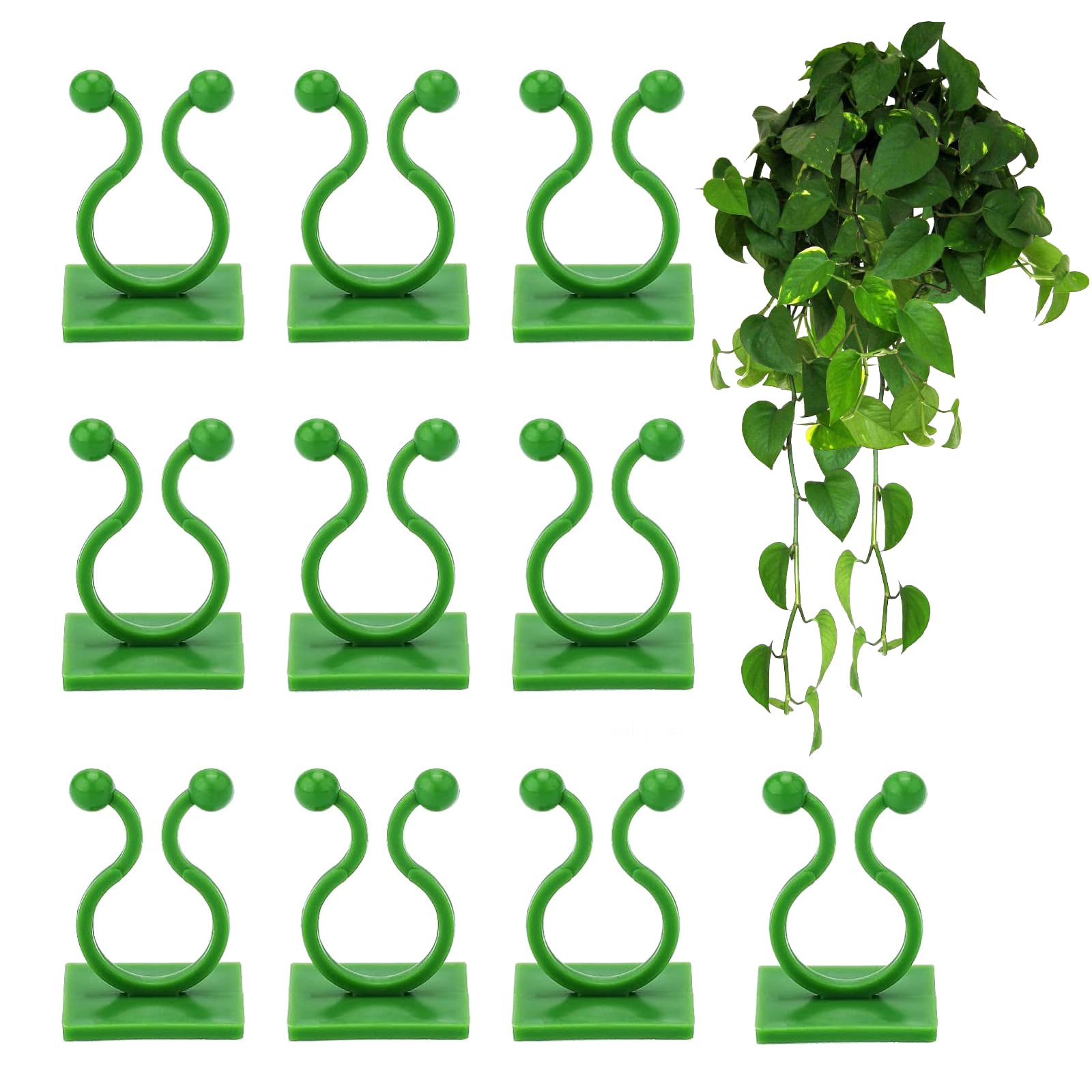 Supports Muraux Pour Plantes Grimpantes - Lot De 120 Clips En 2 Tailles - Fixation Murale Pour Lierre, Monstera… - Adhésif Fort Et Invisible