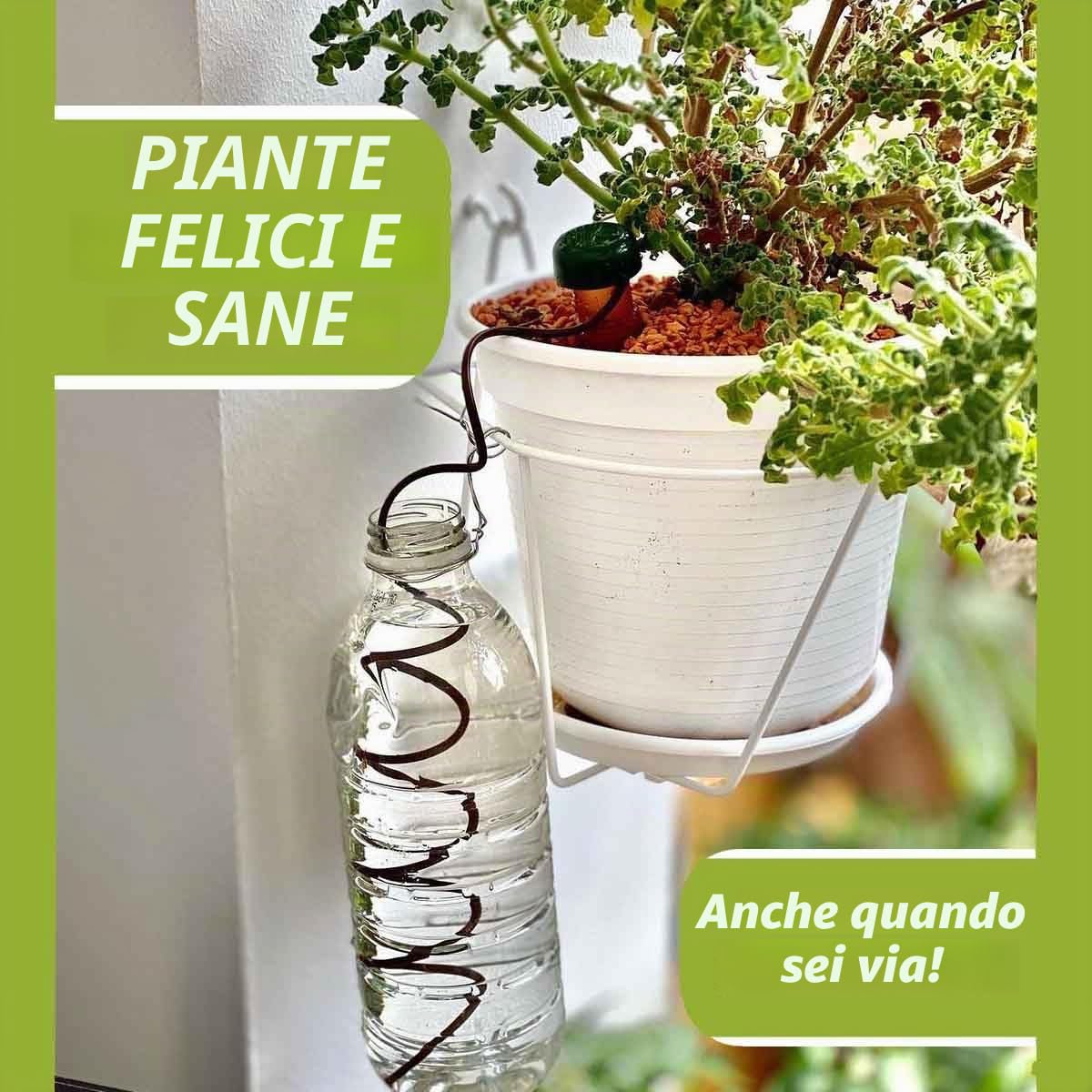 Blumat Coni di irrigazione per piante da interno ed esterno, sistema di irrigazione a goccia automatico per piante in vaso, aiuto per la cura delle piante da interno (confezione da 12)