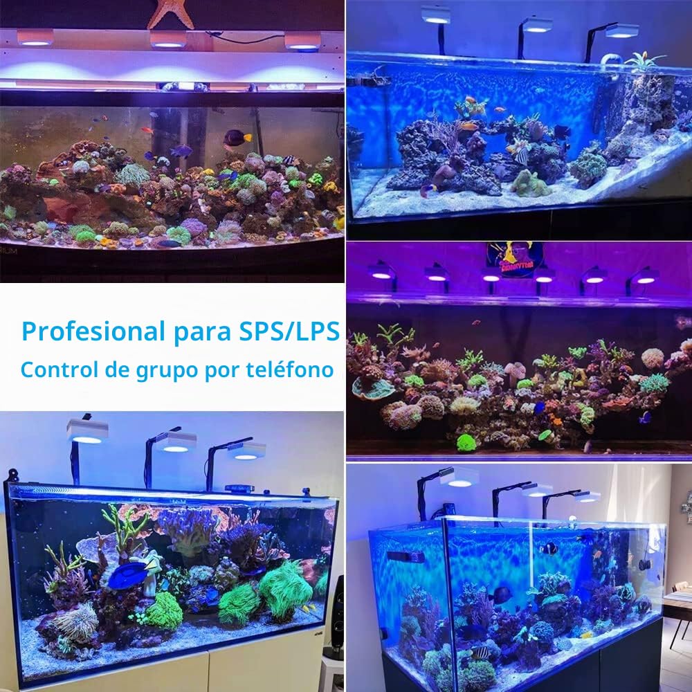 PopBloom RL90 WiFi luz led Acuario Marino, lampara Acuarios Pantalla led Acuario Coral, Luces para acuarios (1 lámpara con kit para colgar)