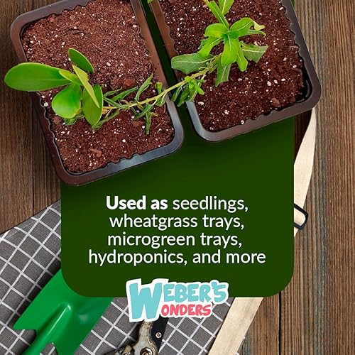 Miniatura 4 de Weber's Wonders Paquete de 10 bandejas de cultivo de plantas, sin agujeros de drenaje, bandejas perfectas para semillas de jardín, bandejas de