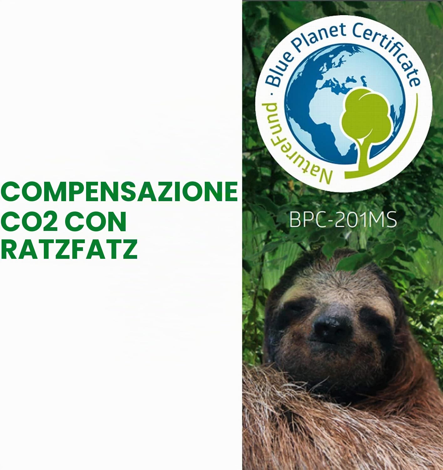 RatzFatz Gabbie Trappola, Trappola Topi● Vincitore 2021 ● Professionale, Giardino e Casa, Set trappola animali, Conigli e Criceti, Sensibilita` Regolabile, Multiuso, Gabbia, Caccia