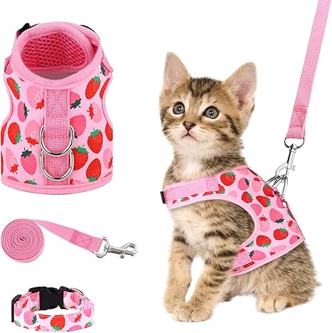 amazon cat harness and leash