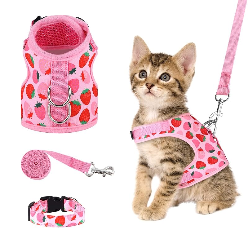 Peitoral para gatos com guia e coleira URATOT X-Small Strawberry