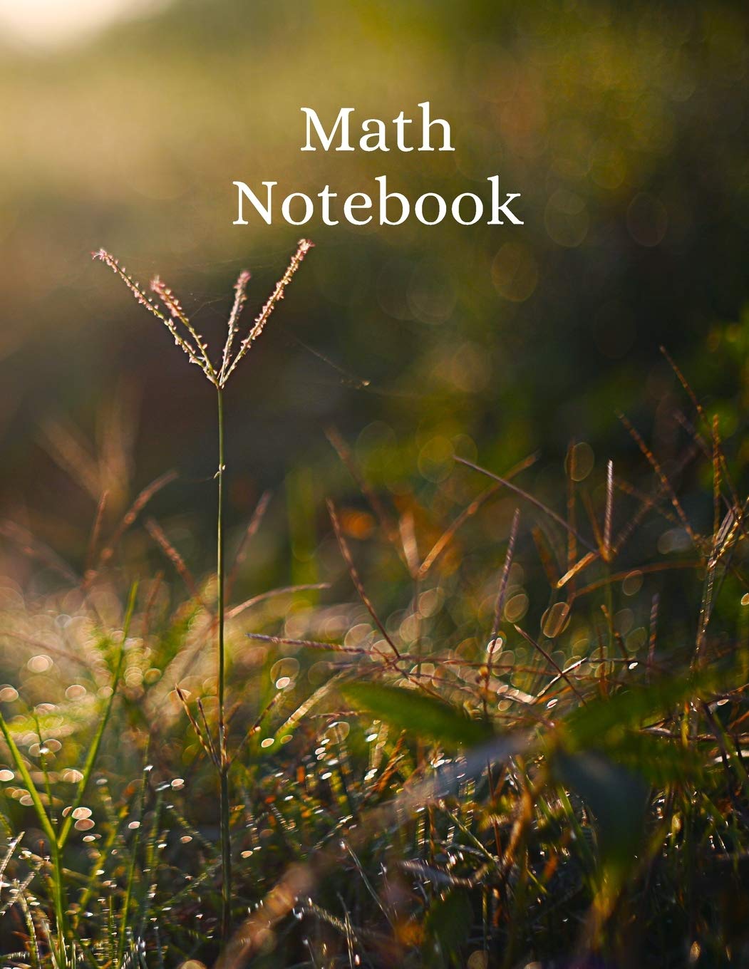 Math Notebook: 120 pages, math notebook, quad ruled workbook, 8.5 x 11 inch large soft cover journal, 4 squares per inch| suited for kids and students