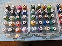 Review Image by Carol Rudolph Carol Rudolph