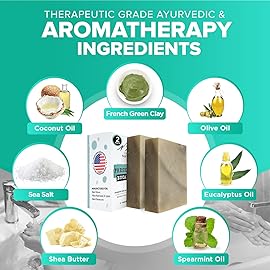 Fresh Forest Eucalyptus Soap Bar (2 Pack) with Spearmint for an Invigorating and Soothing Cleanse - Face & Body Wash - Infused with Shea Butter for Rich Creamy Lather & Long-Lasting Freshness