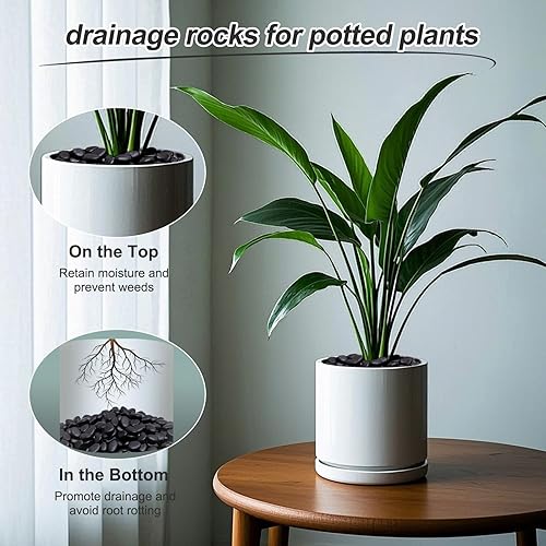 Miniatura 10 de Calofulston Rocas de río de 10 libras para plantas, piedras pulidas decorativas para paisajismo de jardín, macetas, decoración de interiores y