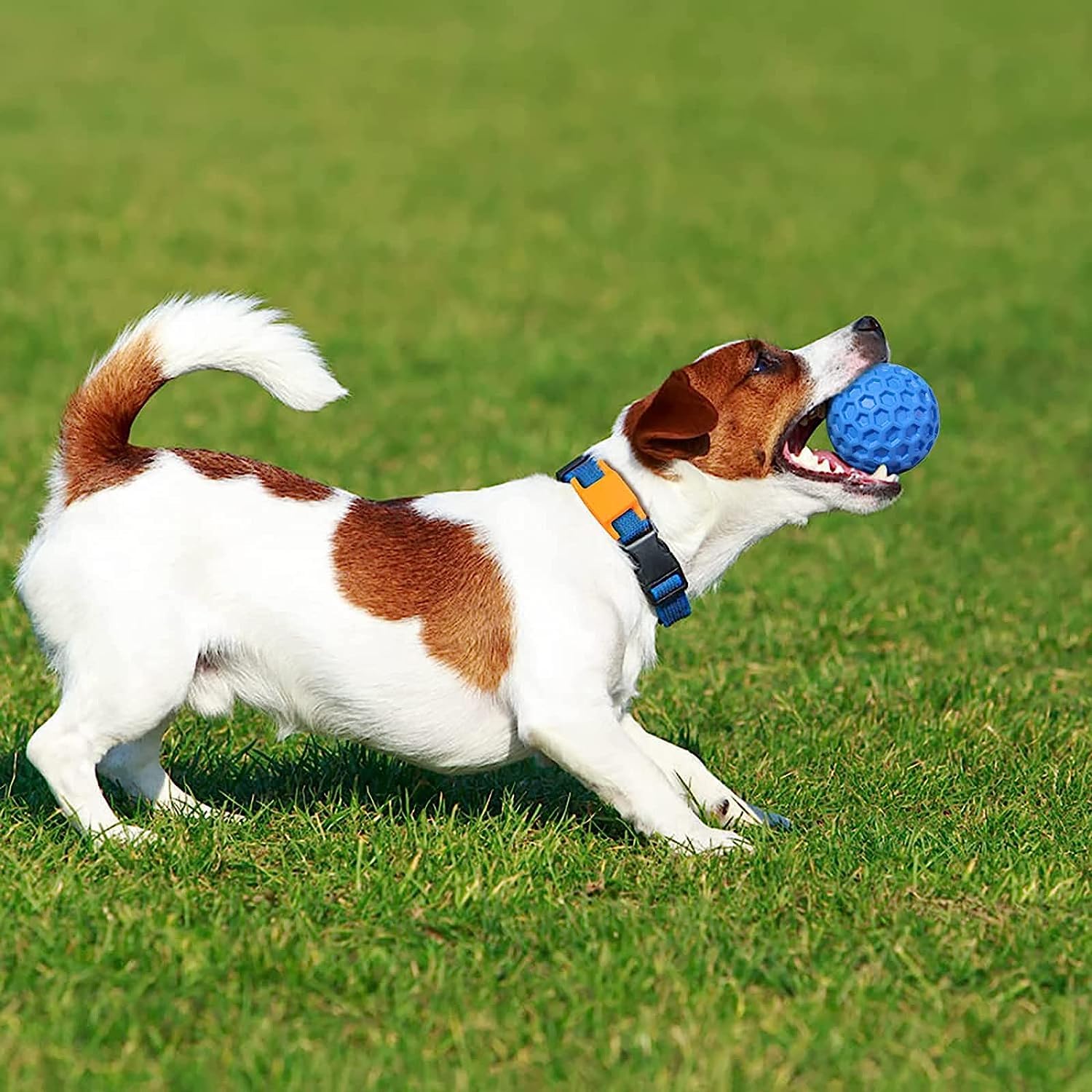 Pelotas chirriantes para perros, paquete de 2 juguetes para perros para masticadores agresivos, razas grandes y medianas, juguetes masticables duraderos y resistentes para perros, bolas de goma