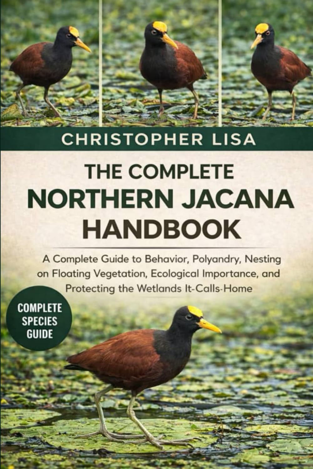 THE COMPLETE NORTHERN JACANA HANDBOOK: A Complete Guide to Behavior, Polyandry, Nesting on Floating Vegetation, Ecological Importance, and Protecting the Wetlands It Calls Home