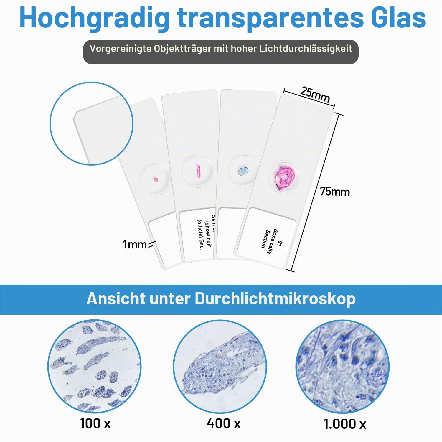 100P Mikroskop Objektträger mit biologischen Proben,Tiere, Insekten, Pflanzen, menschliches Gewebe, für Kinder, Studenten, erleuchtet die Bildung