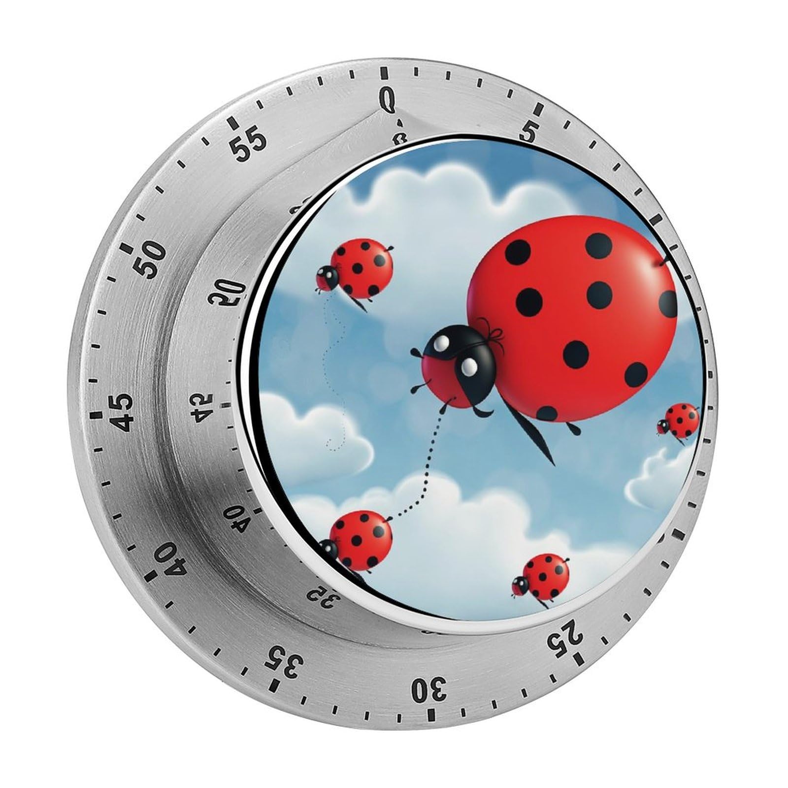 Ladybug and Cloud Manual Countdown Timer with Magnetic Base Visual Mechanical Timer for Classroom Home Study and Cooking