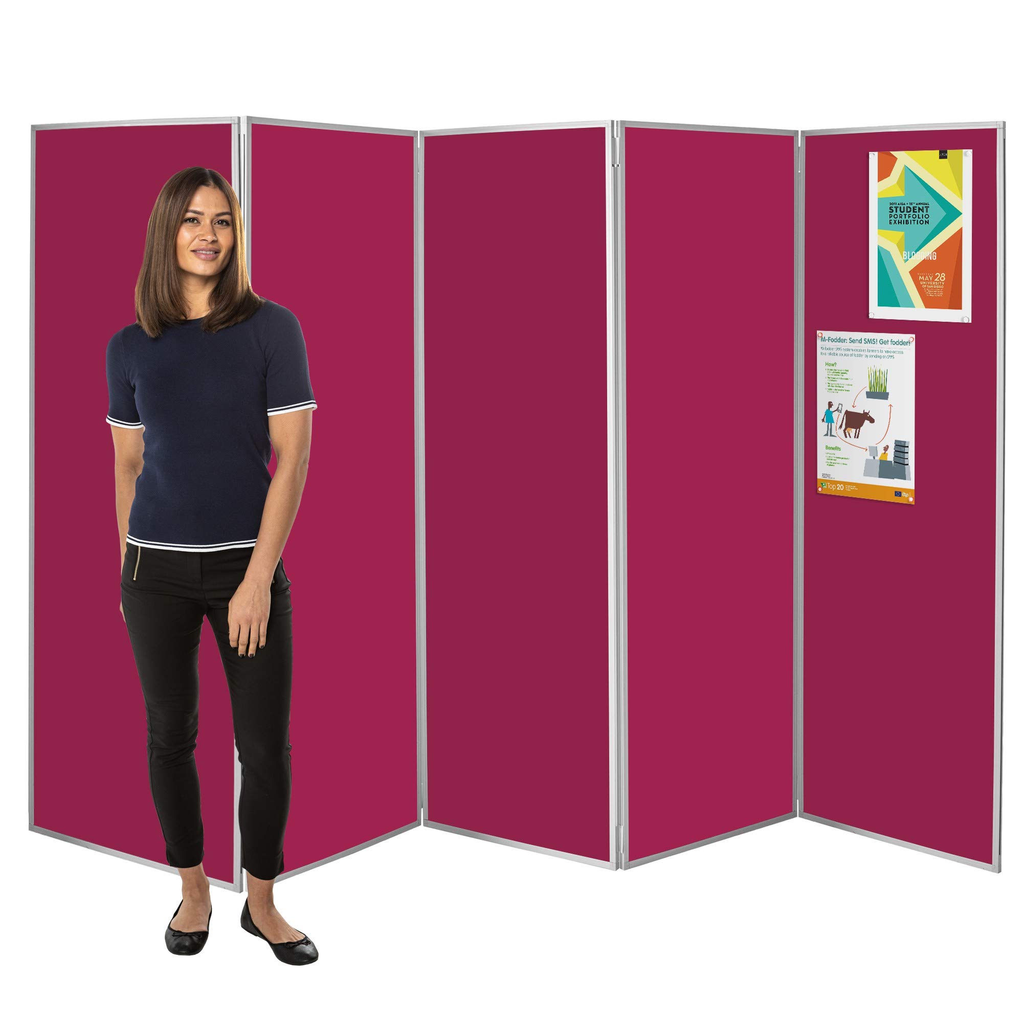 Wonderwall Raspberry Freestanding Folding Display 5 Panel Privacy Screen | Concertina Style Divider Screen | & 12 Ideal For Healthcare, Schools, Exhibitions, Libraries