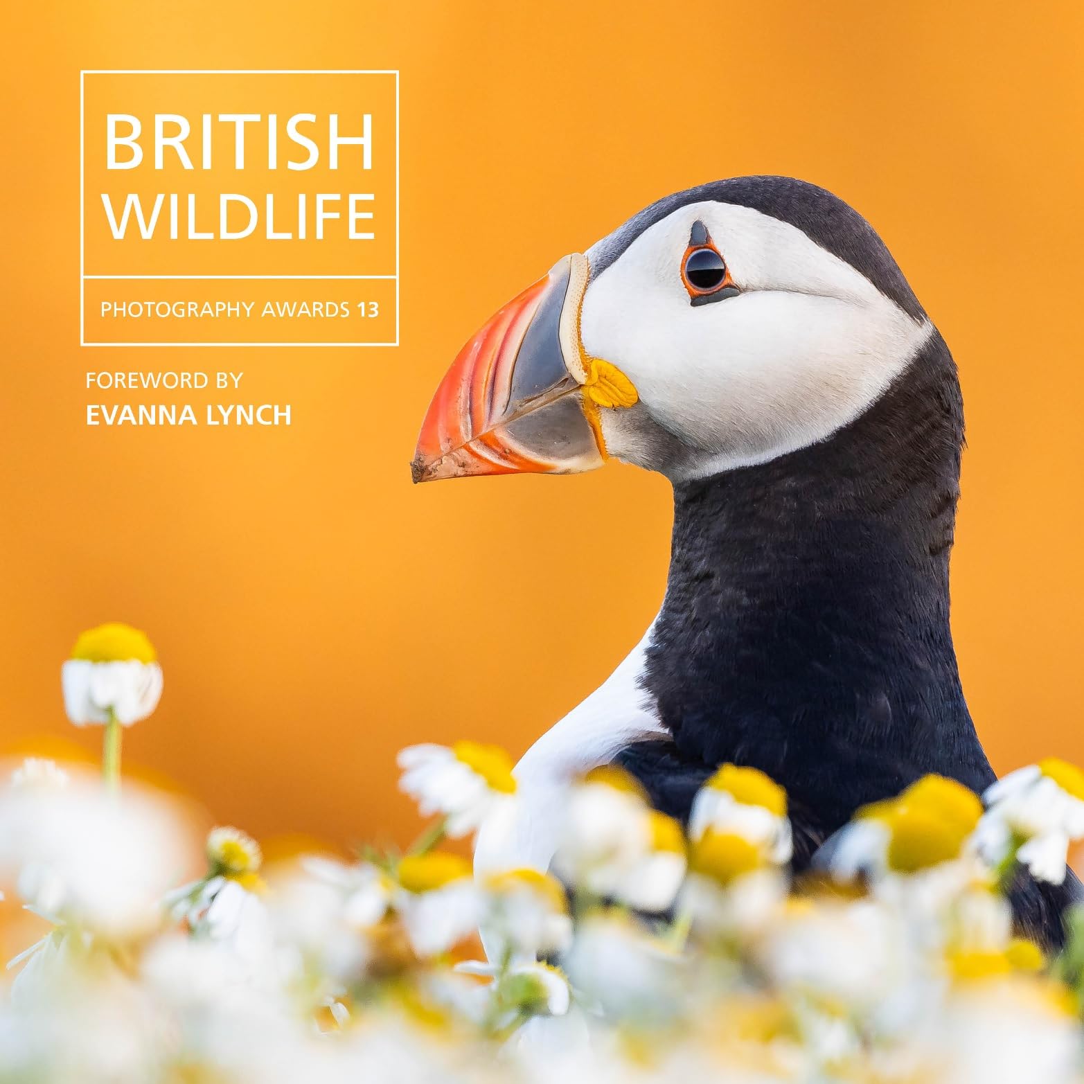 British Wildlife Photography Awards 13 by Will Nicholls HARDBACK 9781802589856