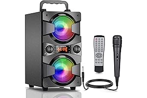 60W Bluetooth Speaker with Double Subwoofer, Microphone, Lights, and EQ