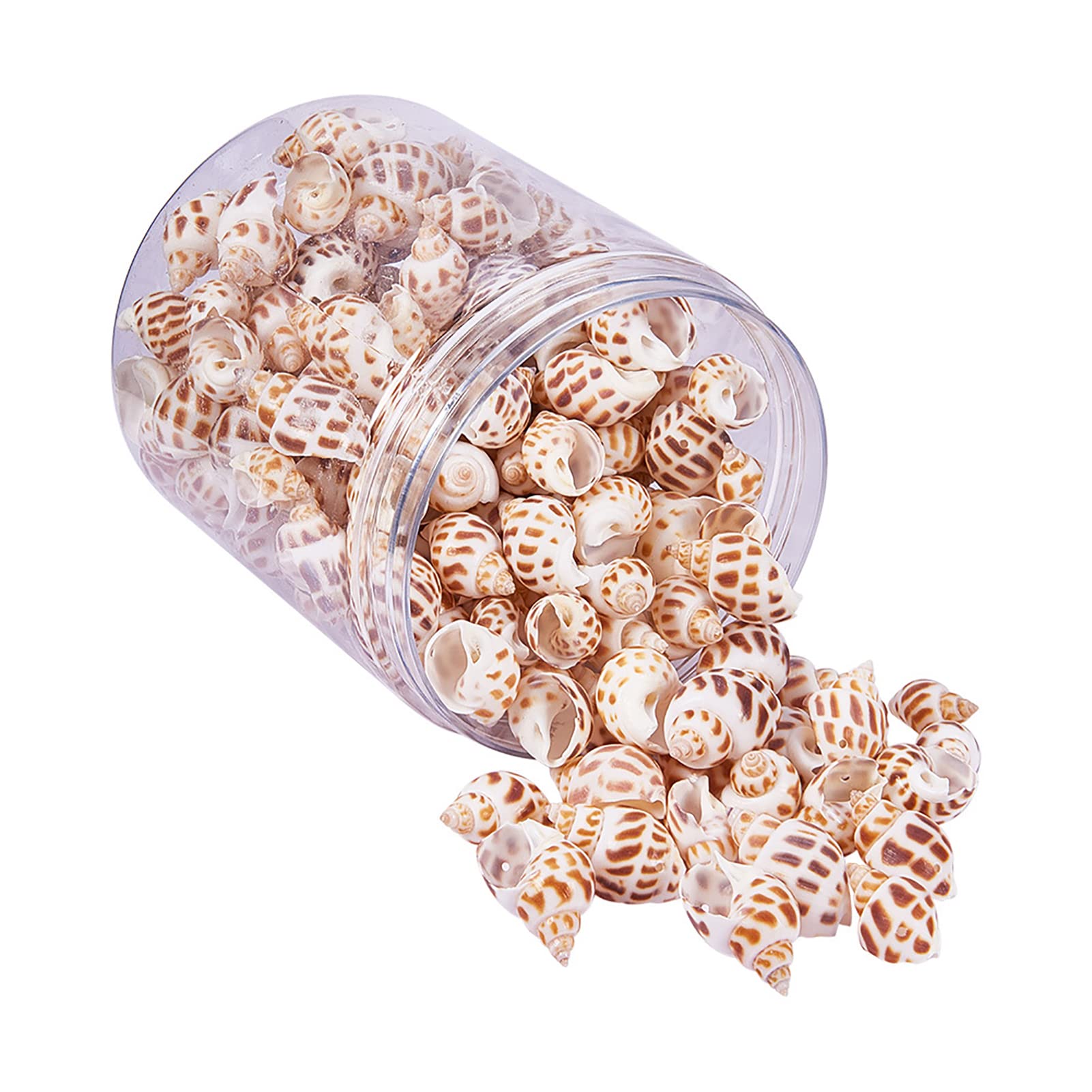 150~170pcs/box 32~45mm Dyed Trumpet Spiral Conch Shell Natural Ocean Beach Sea Shell Beads 1-2mm Hole for DIY Craft Jewelry Making Beach Theme Party Wedding Decor Vase Filler Fish Tanks