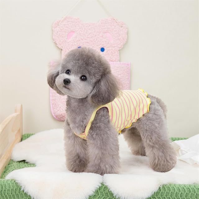 Foto 6 de 7 de Yaopelky 2 piezas de ropa de verano para perros pequeños y medianos, camisa a rayas para perros