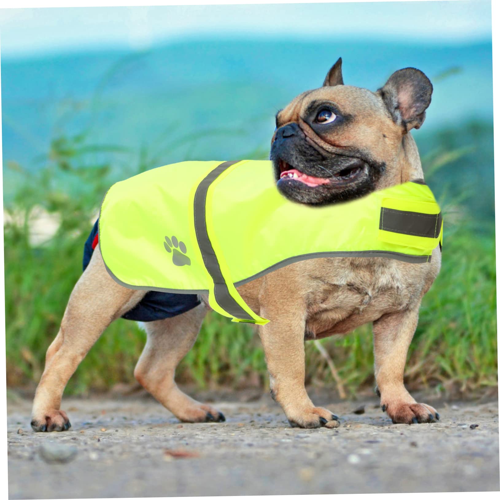 Mipcase 5piezas Chaleco Reflectante para Perros Ropa Decorativa para Mascotas y Práctico para Paseos y Viajes Oxford y Fluorescente Talla