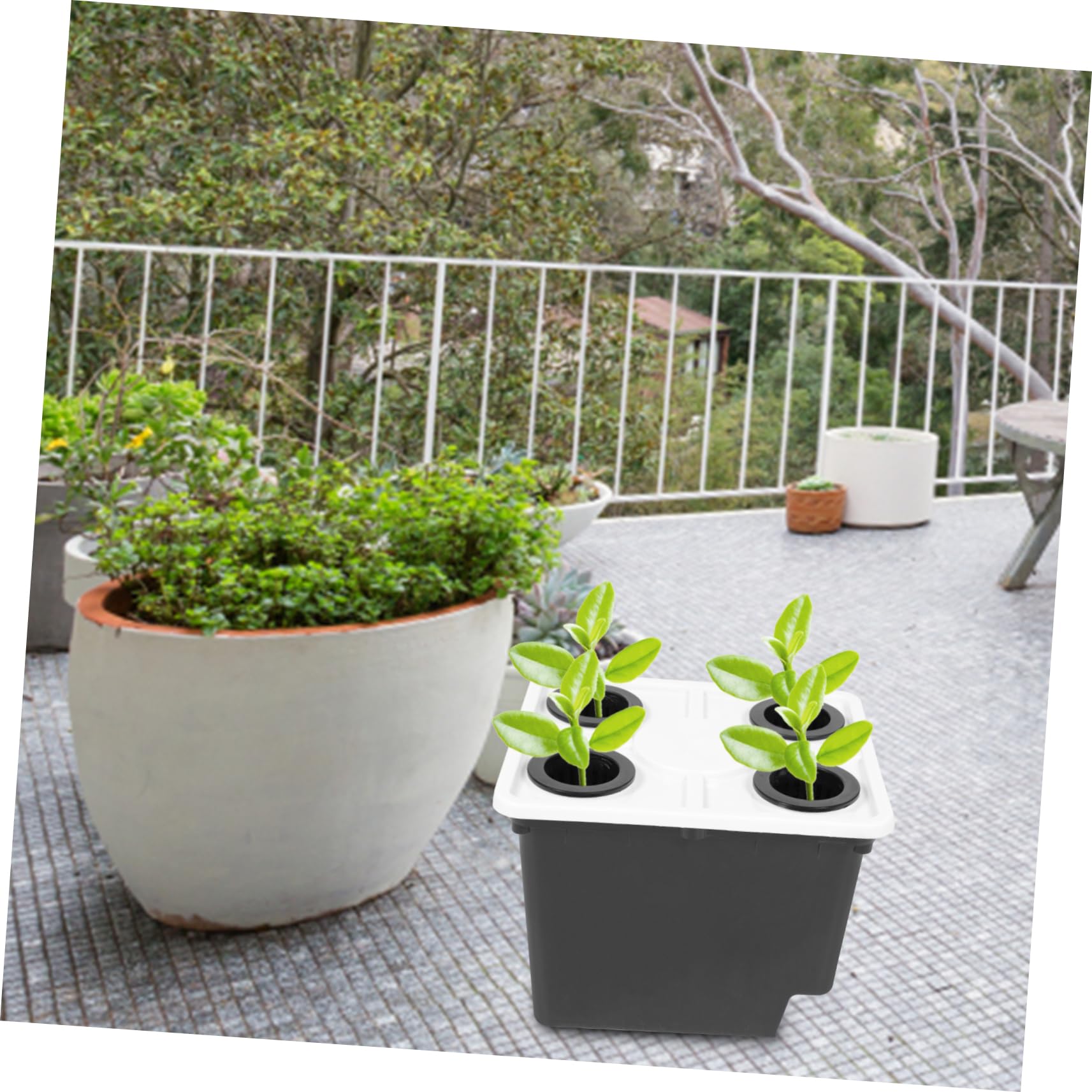 Gatuida Cubo para Cultivo Hidropónico sin Suelo Negro de PP, Estable y Práctico para Flores y Plantas Verdes en Invernadero