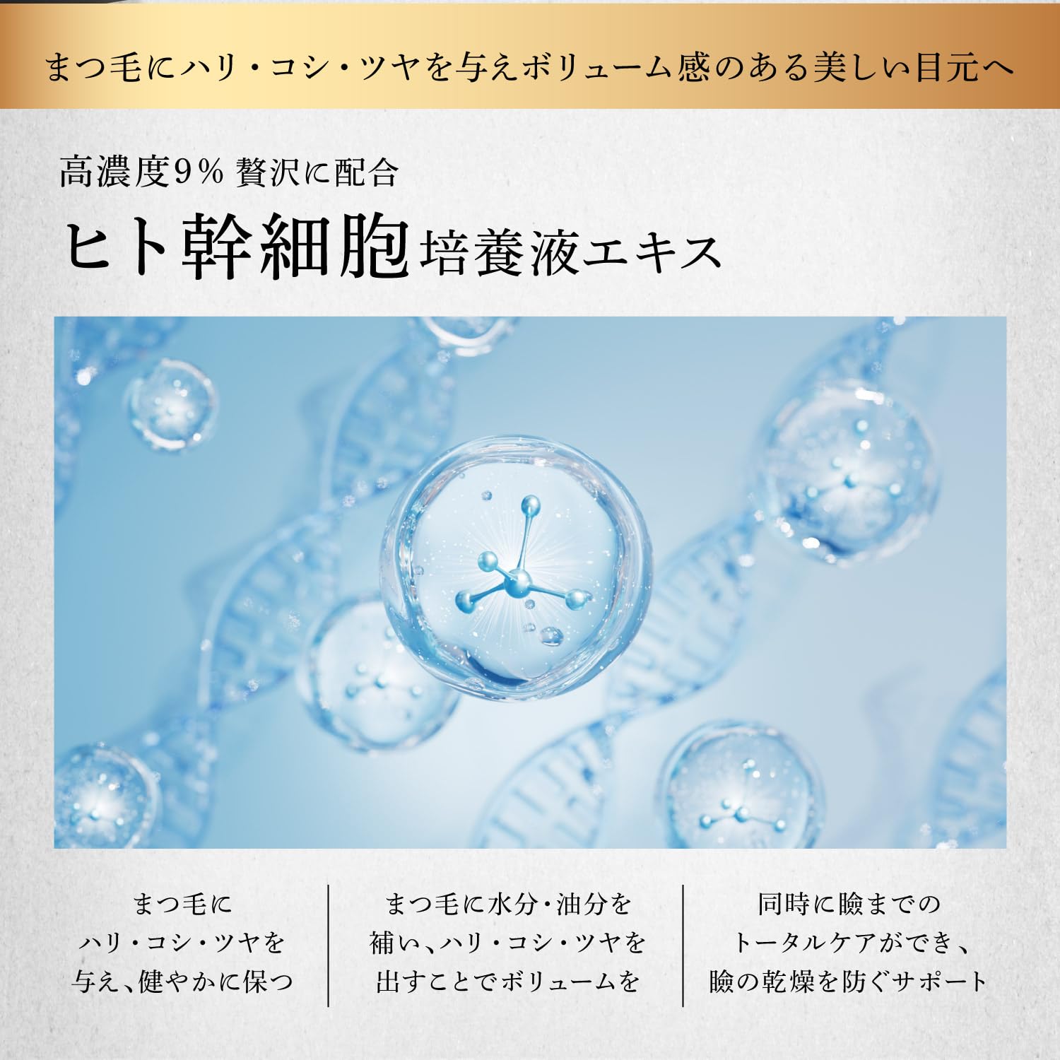 Amazon.co.jp: MAI ARAI ラッシュセラム まつげ美容液 : ビューティー