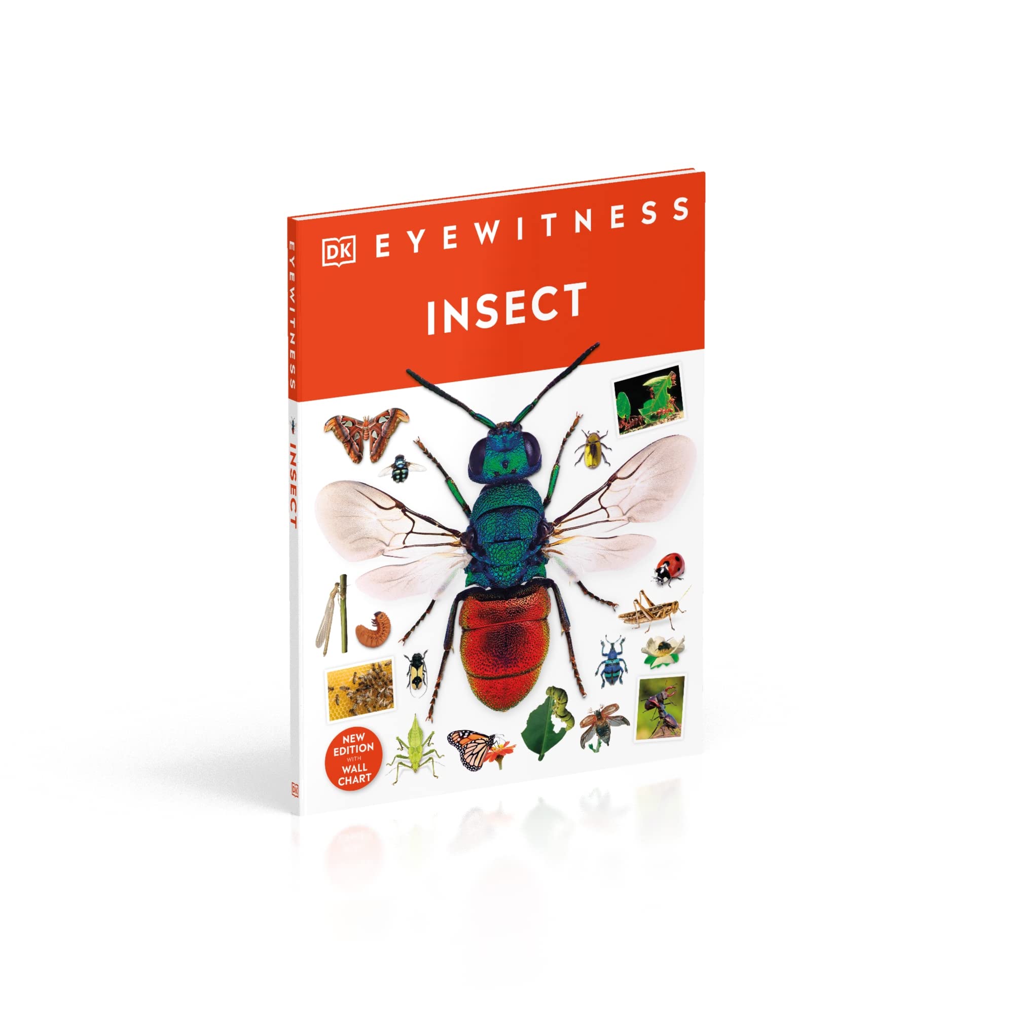 Insect: DK Eyewitness