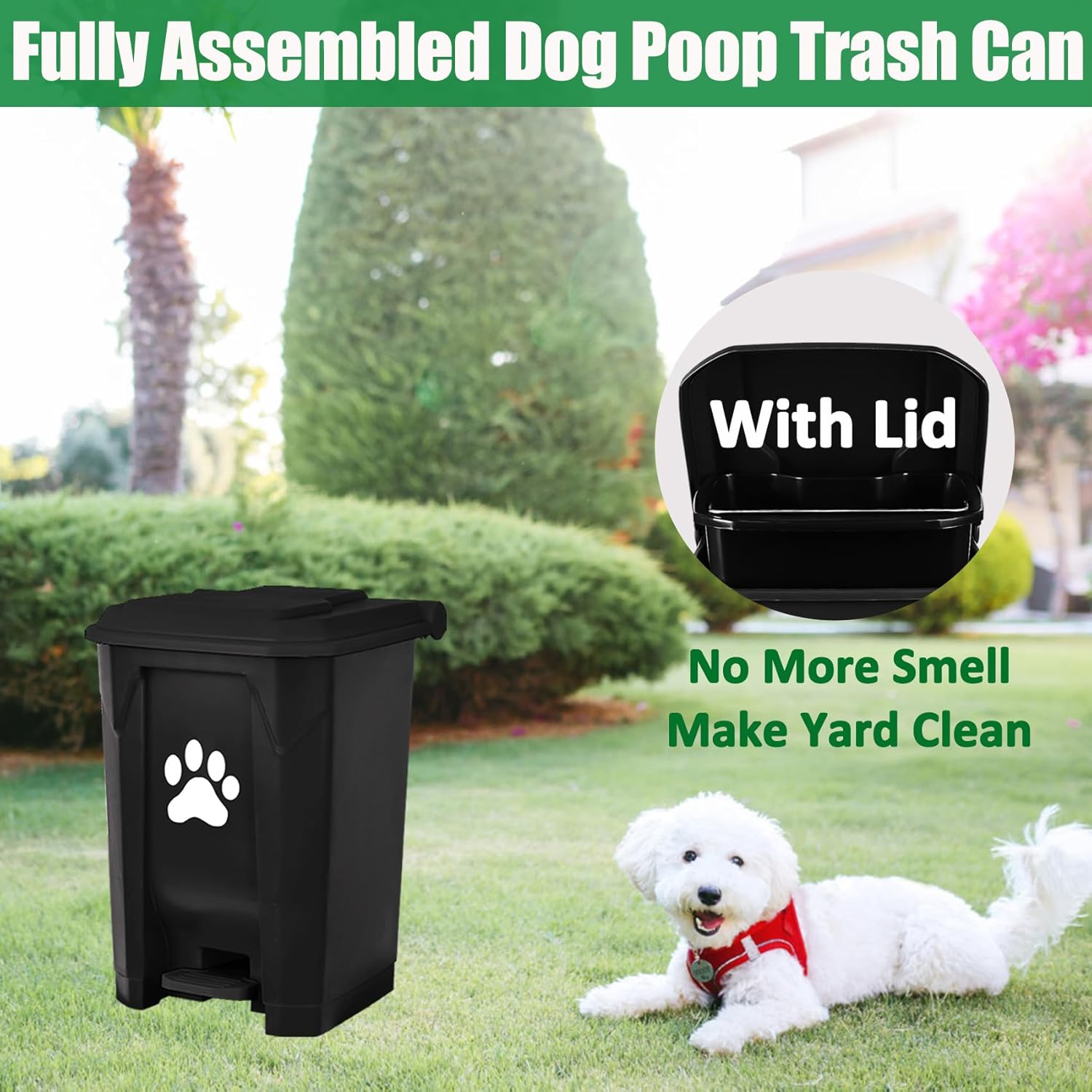 https://m.media-amazon.com/images/I/71lQHWsPYVL._SL1500_.jpg