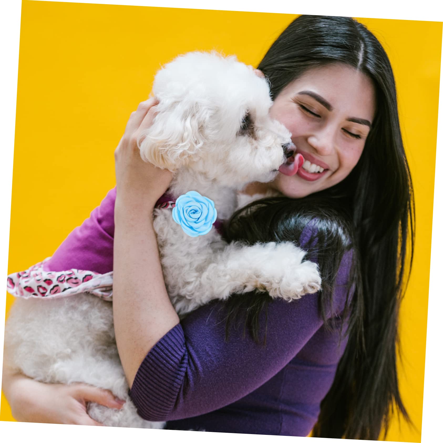 Housoutil 60 Pcs Pet Flower Collar Decor Small Dog Accessories Chiffon Flower for Pets Bow Tie Crimping