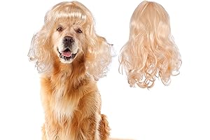 Adorable Pet Wig for Dogs: Express Your Furry Friend's Style