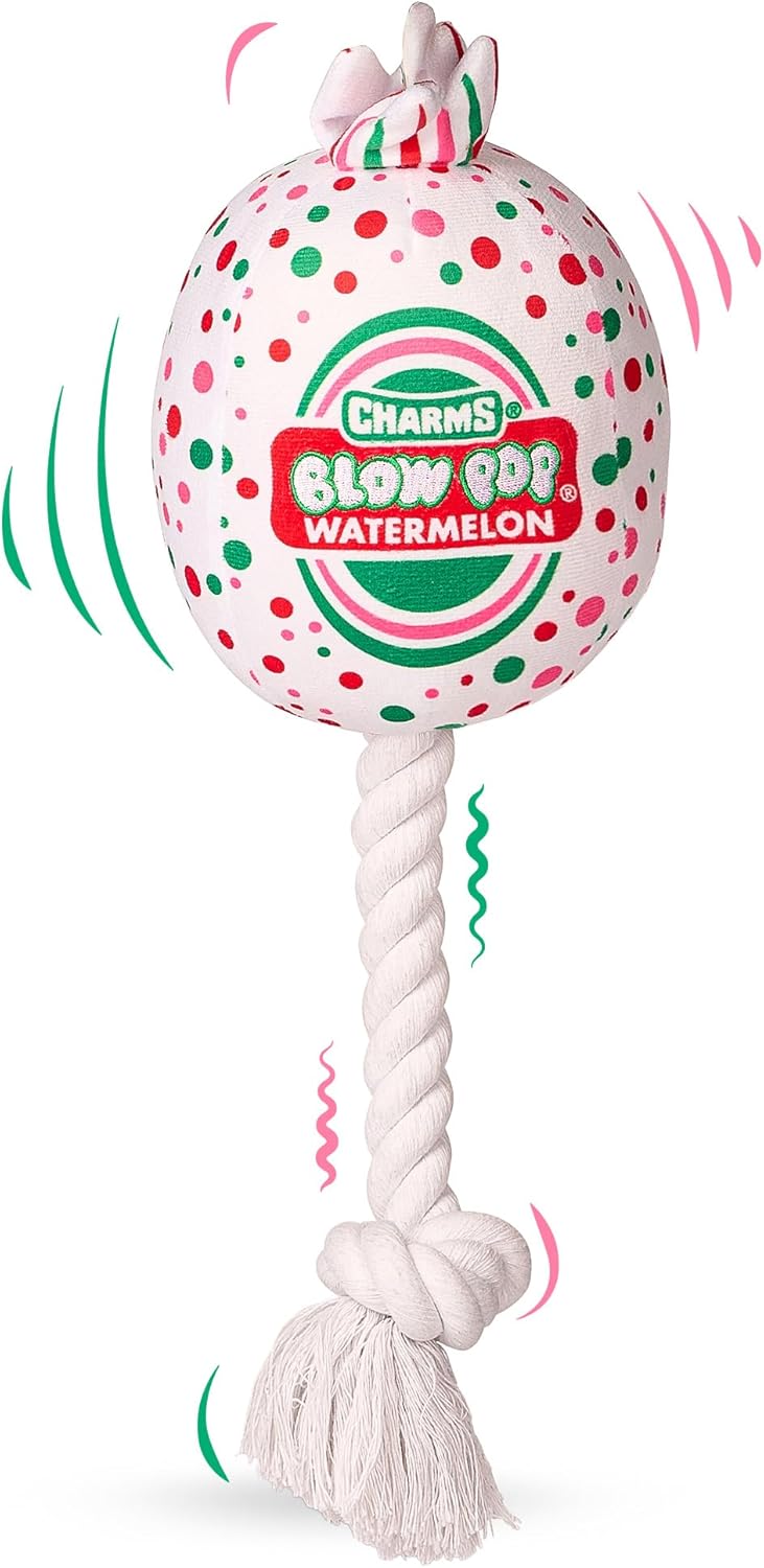 Blow Pop Plush & Rope Dog Toy – Scented Squeaky Plush with Durable Rope Stick – Tug, Fetch & Chew Toy for Dogs – Available in Jumbo & Medium Sizes – Apple, Cherry, Grape & Watermelon
