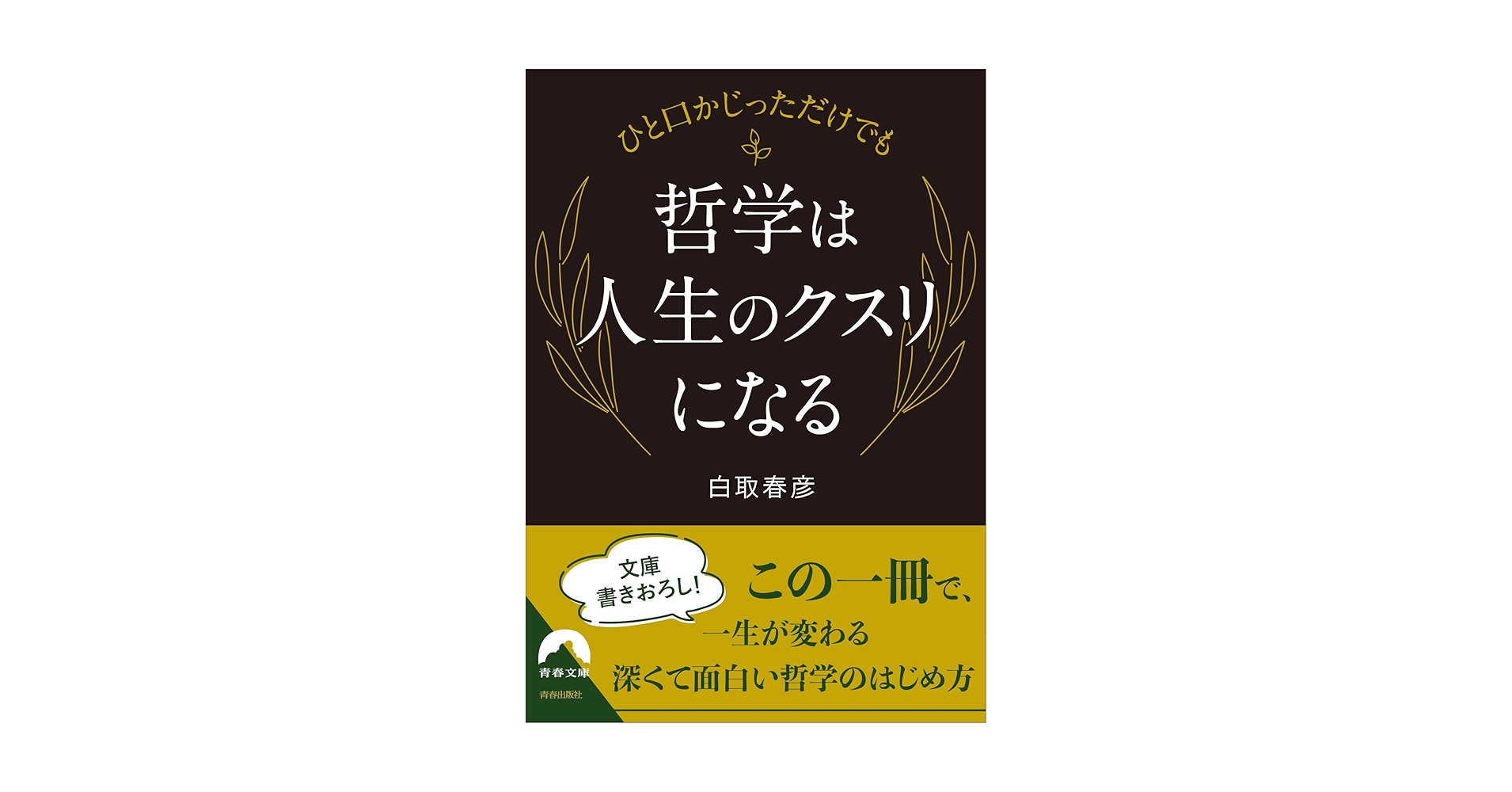 ひと口かじっただけでも 哲学は人生のクスリになる (青春文庫 し
