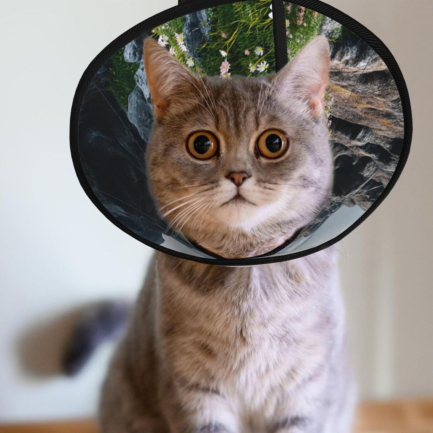 Custom Pet Cones - Unique Design Cat & Dog Cone, Collar for Post-Surgery Recovery, Adjustable Neck Mountain Valley Large