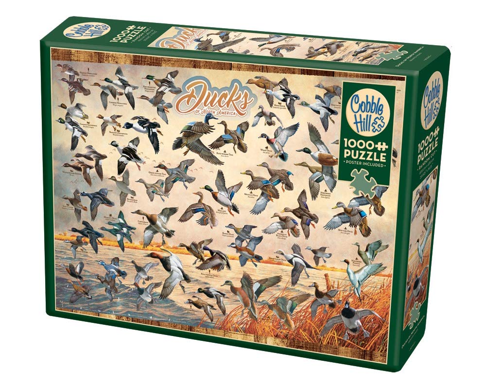 Cobble Hill 1000 Piece Puzzle - Ducks of North America - Sample Poster Included