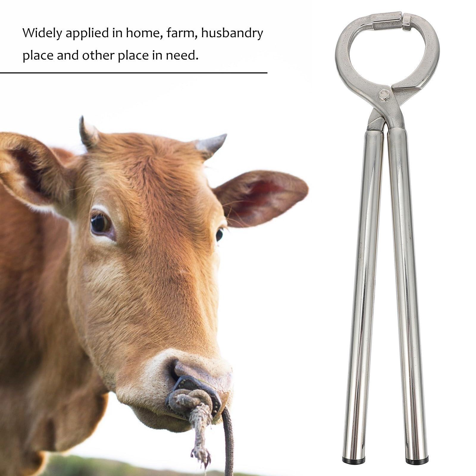 Pinza per Anello Nasale Bovino in Acciaio Inox, Argento