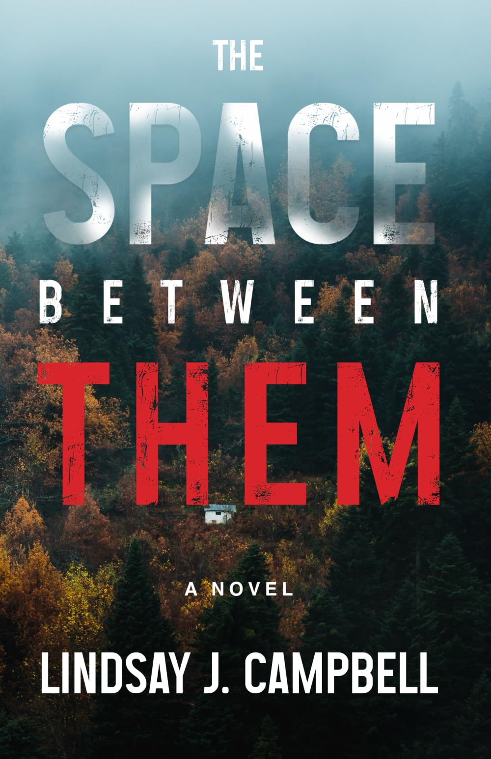 The Space Between Them