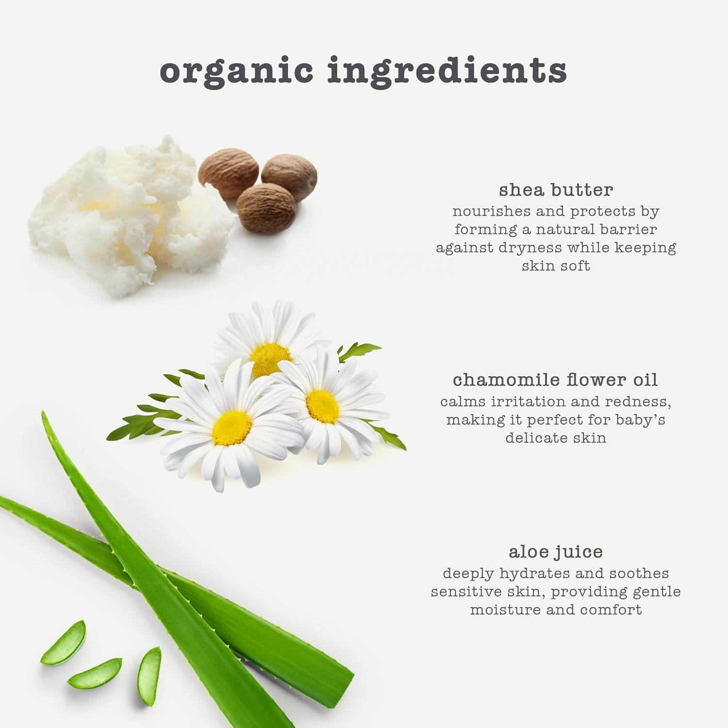 erbaviva Organic Baby Lotion, 16 Fl Oz